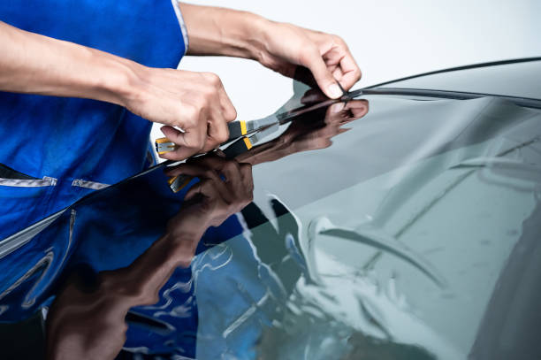 windshield protection services